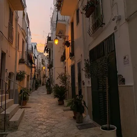 Fiori Catene Tra Le Torri Conversano Exterior photo