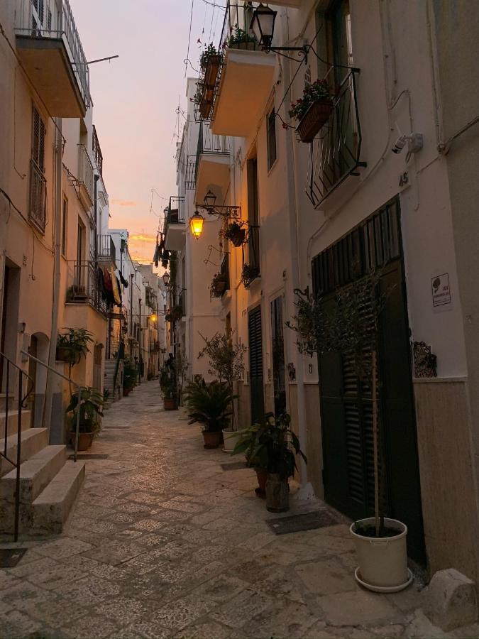 Fiori Catene Tra Le Torri Apartment Conversano